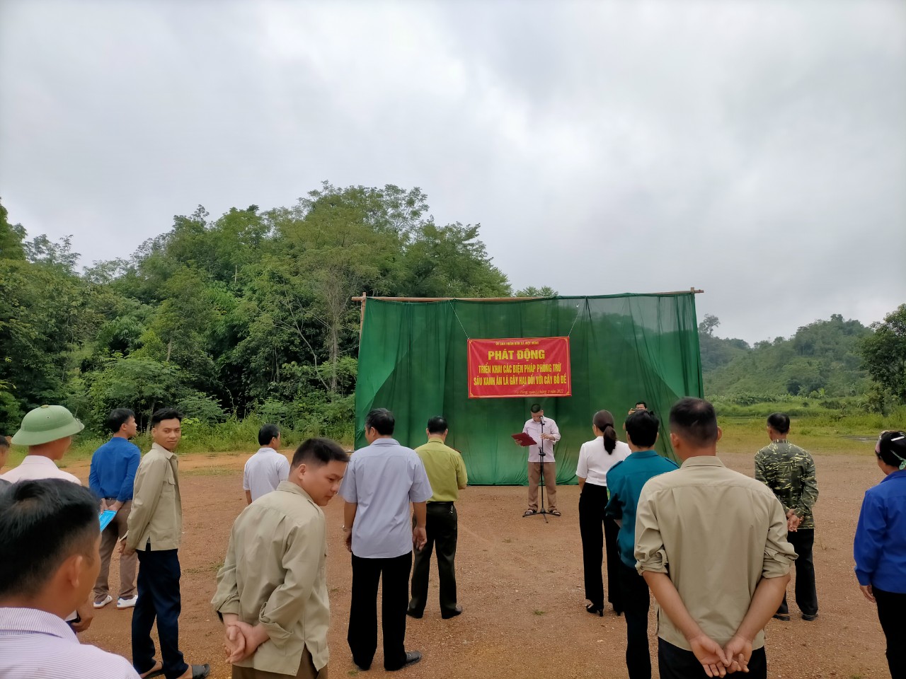 Việt Hồng chủ động phòng trừ sâu xanh ăn lá bồ đề